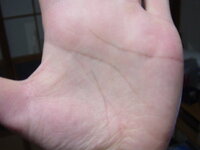 前から気にしているのですが 私は生命線が途中で途切れています 修学旅行の時に Yahoo 知恵袋