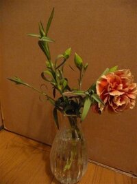 切花が折れてしまうのですが 切花のまだつぼみが開いていな Yahoo 知恵袋