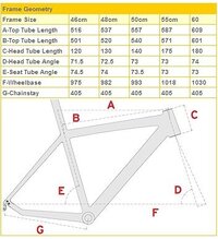ロードバイクのサイズ 身長173cm 股下80cm 腕の長さは指先までお Yahoo 知恵袋