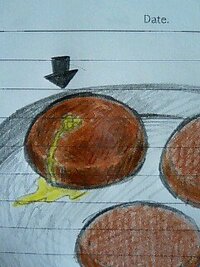 もう食べてしまったんですが この生焼けっぽいハンバーグ 危険ですかね Yahoo 知恵袋