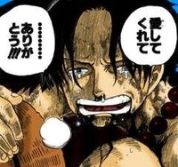 Onepieceのアルバムの ｳｨｰｱｰ 9人の麦わら海賊団篇 Yahoo 知恵袋