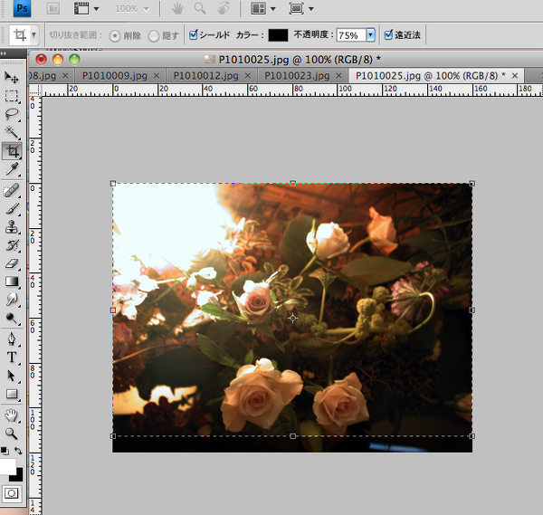 Mac Cs4 Photoshopの切り抜きツールがおかしい 切り抜きツールを使うと Yahoo 知恵袋