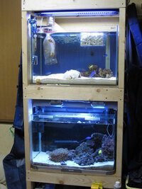 ６０センチオーバーフロー水槽で縦に置いているのですが 濾過槽 Yahoo 知恵袋