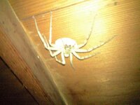 この文章を英語にしてください いつも皆さんには大変お世話になっており Yahoo 知恵袋