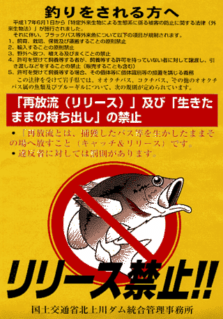 バス リリース ブラック