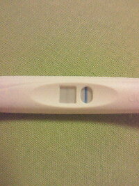 クリアブルー 高温期11日目 陰性 妊娠した時のクリアブルーフライング妊娠検査薬結果