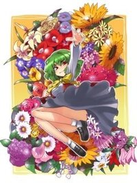 東方projectのこの風見幽香の大きい画像があるサイトを探し Yahoo 知恵袋