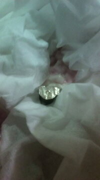 ポケモン プラチナ ガブリアスの技について ガブリアスに地震を覚 Yahoo 知恵袋