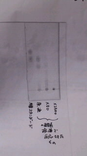 至急 Tlcの発色試薬について糖を展開させたのですが 発色試薬は硫酸以 Yahoo 知恵袋