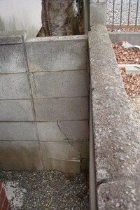 法律に詳しい方助けてください 隣の家の木が塀を壊しています ど Yahoo 知恵袋