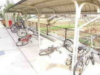 倒れた自転車 起こす 100万