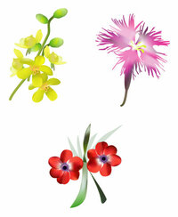 イラストの花の名前と花言葉を知りたいです イラストにある Yahoo 知恵袋
