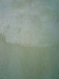 砂壁を剥がして壁紙を貼ろうと思い 砂壁を剥がしてみたのですが 砂壁が綺麗に取れま 教えて 住まいの先生 Yahoo 不動産