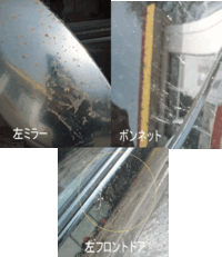 猫 カラス 車につけられた傷 画像のように車にキズをつけらる日 Yahoo 知恵袋