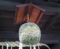 酒屋 酒蔵に吊るされているこのマリモはなんですか 何でで Yahoo 知恵袋