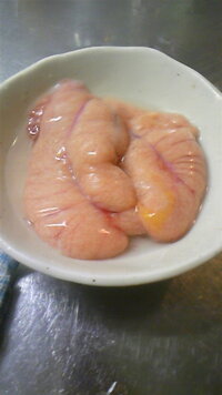 最近30センチほどのチヌを釣ったのですが 食べようと思い さばくと Yahoo 知恵袋