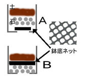 スリット鉢を使っている方に質問です 先日スリット鉢というのを初めて Yahoo 知恵袋