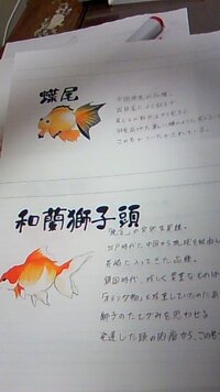 鯉と金魚の交尾について質問があります 分かる方回答お願いします Yahoo 知恵袋