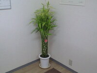 小野不由美のゴーストハント とうとう７巻で終了に ところで 私はこれの続 Yahoo 知恵袋