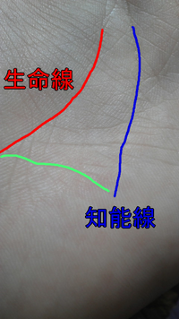 手相についてです 右手に頭脳線と生命線の間に大きな十字が出来 Yahoo 知恵袋