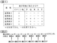 ブラッキーにあくびとねがいことを覚えさせるにはどうしたらいいです Yahoo 知恵袋
