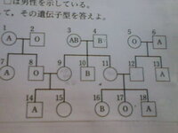 図はある家系におけるabo式血液型の遺伝を示しているものである は女性 Yahoo 知恵袋