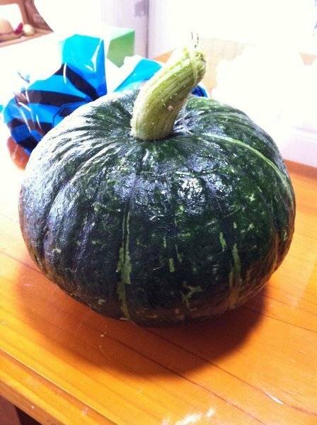 すこし早めにかぼちゃを収穫してしまいました 海外なのですが詳し Yahoo 知恵袋