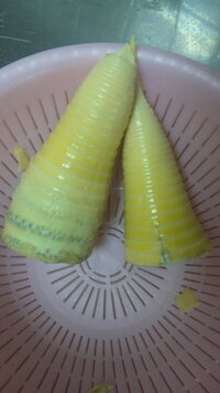 たけのこを茹でて剥いたのですが 下の黒いぼつぼつの部分も食べれますか Yahoo 知恵袋