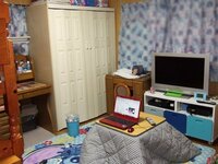 部屋をゴシックロリータ ゴスロリ 風にしたいです 教えて 住まいの先生 Yahoo 不動産