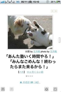 ２ちゃんねる等で見かける面白い画像について 最近２ちゃんねる等で見か Yahoo 知恵袋