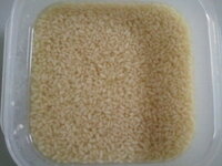 麹の変色について質問です 麹の変色について質問です 今 流行の塩麹をつく Yahoo 知恵袋