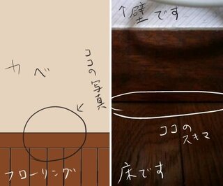 経路 ゴキブリ 侵入