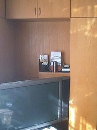 バセット 死因 スカイ