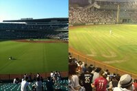 ももクロの日産スタジアムでのライブですがなぜ芝生のとこに客を入れなかった Yahoo 知恵袋