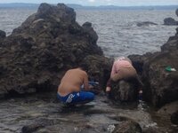 神奈川県で漁業権消滅している場所教えてもらえますか 夜釣りしたいのですが Yahoo 知恵袋