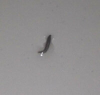風呂場に消しゴムのカスのような黒い虫（画像あり） 昨日家の風呂場でシャワーを使っていたところ、どこからかウネウネした黒い消しゴムのカスのような虫が表れました。
水の流れに逆らって動き、ボディーソープをかけても死ななかったので、かなり生命力は強いと思います。（水に強い？）

風呂場に入ったときにはいなかったので、どこかに潜んでいたものがシャワーの水が壁周辺にかかった拍子に、ポトリと落ちた...