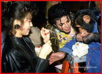 写真に写っているのは松田聖子とマイケルジャクソンと思うんですが何年ぐらい前のものですか？

チンパンジーはバブルス君ですか？ 