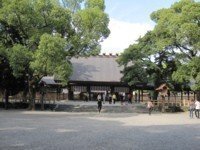 ニワトリって全く飛べないんですか ニワトリやキジはキジ科に分類 Yahoo 知恵袋