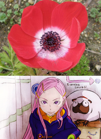 アネモネの花ことば さっきエウレカセブンのアニメを見ていたのですが アネモ Yahoo 知恵袋