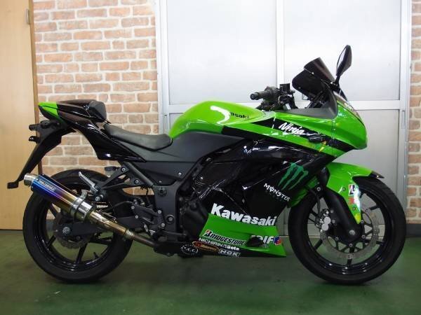 画像あり】この、ninja250rは二人乗りできますか？ - シングル... - Yahoo!知恵袋