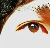 白人と東洋人のハーフで目の色が青や緑になることは絶対にない 色素が Yahoo 知恵袋