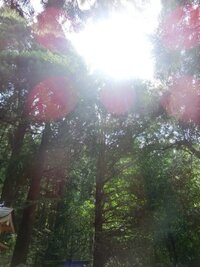 お寺の鐘の前で写真を撮ったら虹が写っていて その虹をよく見ると中にいく Yahoo 知恵袋