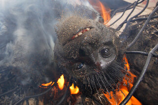 イスラム 国 グロ