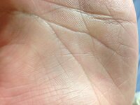 手相フィッシュについて 生命線の真ん中らへんに妨害線が入って Yahoo 知恵袋