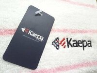 このkaepaというブランドは Kappaのパクリですか Yahoo 知恵袋