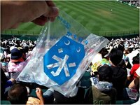甲子園名物のかち割り氷は 春のセンバツ大会時でも売っています Yahoo 知恵袋