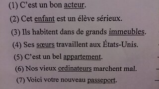 この画像のとおりです フランス語で 下線部の名詞を複数系のものは単数形に Yahoo 知恵袋