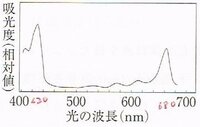 高校生物 薄層クロマトグラフィーにおいての問題です 問題 緑葉に含 Yahoo 知恵袋