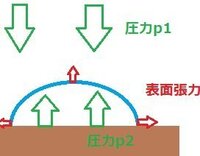 表面張力について教えてください 表面張力により 液体の内部は内側に引 Yahoo 知恵袋