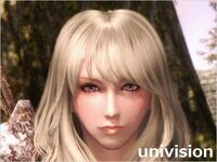 Skyrimpc版の女性キャラについて教えてください プレイキャラ 主 Yahoo 知恵袋